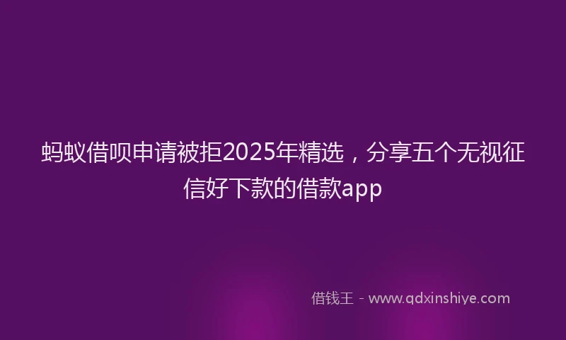 蚂蚁借呗申请被拒2025年精选，分享五个无视征信好下款的借款app