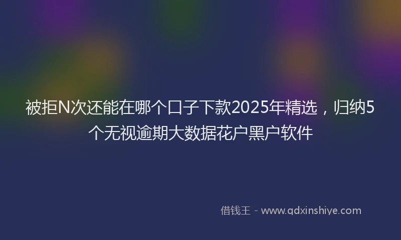 被拒N次还能在哪个口子下款2025年精选，归纳5个无视逾期大数据花户黑户软件