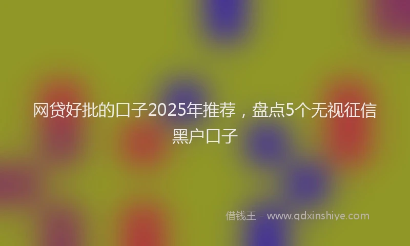 网贷好批的口子2025年推荐，盘点5个无视征信黑户口子