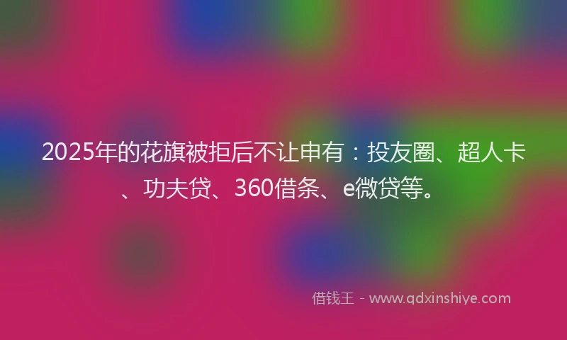2025年的花旗被拒后不让申有：投友圈、超人卡、功夫贷、360借条、e微贷等。
