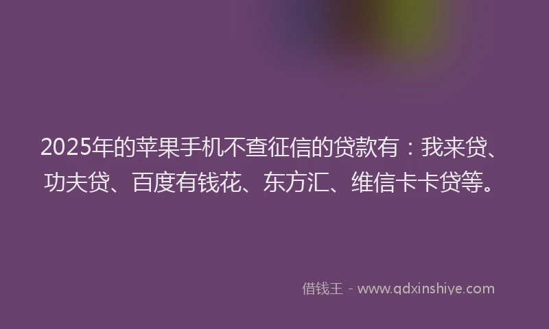 2025年的苹果手机不查征信的贷款有：我来贷、功夫贷、百度有钱花、东方汇、维信卡卡贷等。