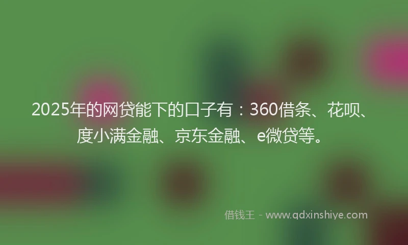 2025年的网贷能下的口子有：360借条、花呗、度小满金融、京东金融、e微贷等。