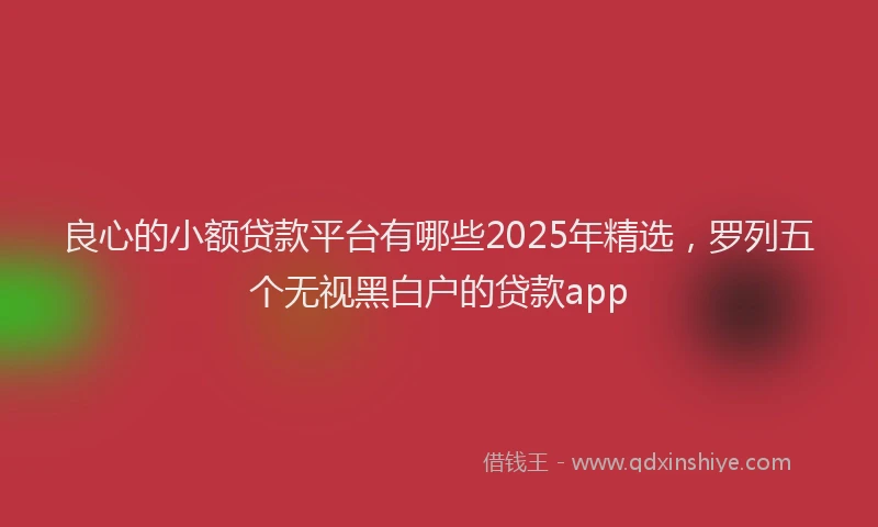 良心的小额贷款平台有哪些2025年精选，罗列五个无视黑白户的贷款app