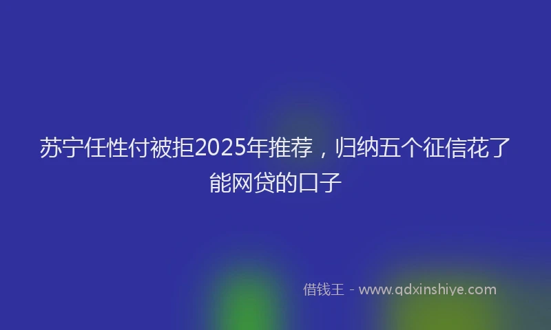 苏宁任性付被拒2025年推荐，归纳五个征信花了能网贷的口子