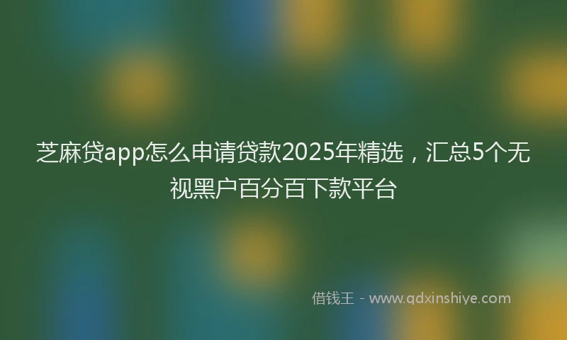 芝麻贷app怎么申请贷款2025年精选，汇总5个无视黑户百分百下款平台