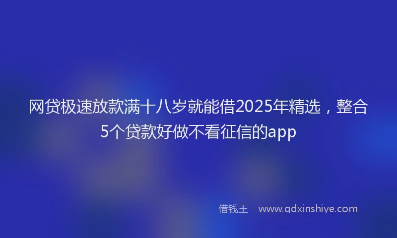 网贷极速放款满十八岁就能借2025年精选，整合5个贷款好做不看征信的app