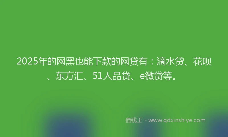 2025年的网黑也能下款的网贷有：滴水贷、花呗、东方汇、51人品贷、e微贷等。
