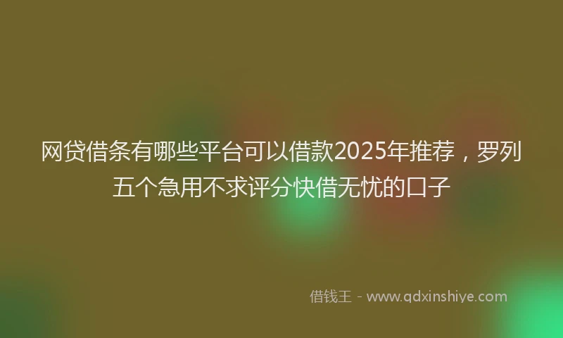 网贷借条有哪些平台可以借款2025年推荐，罗列五个急用不求评分快借无忧的口子