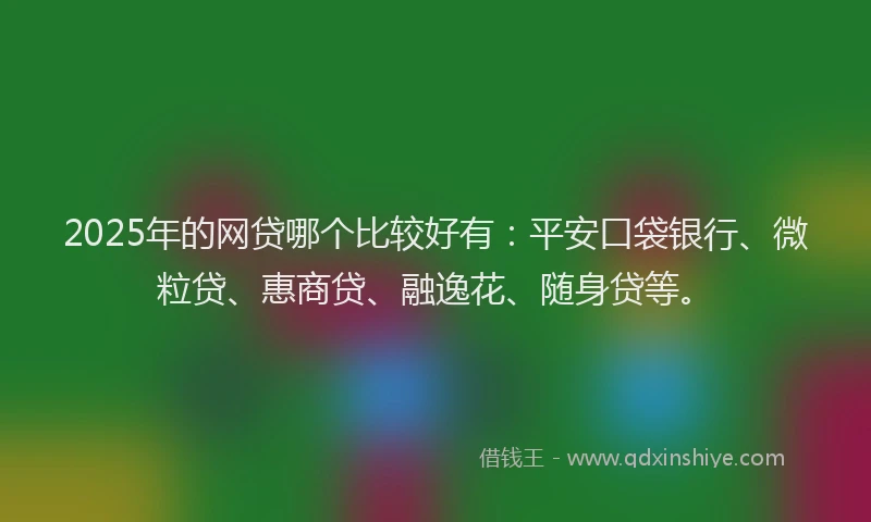 2025年的网贷哪个比较好有：平安口袋银行、微粒贷、惠商贷、融逸花、随身贷等。
