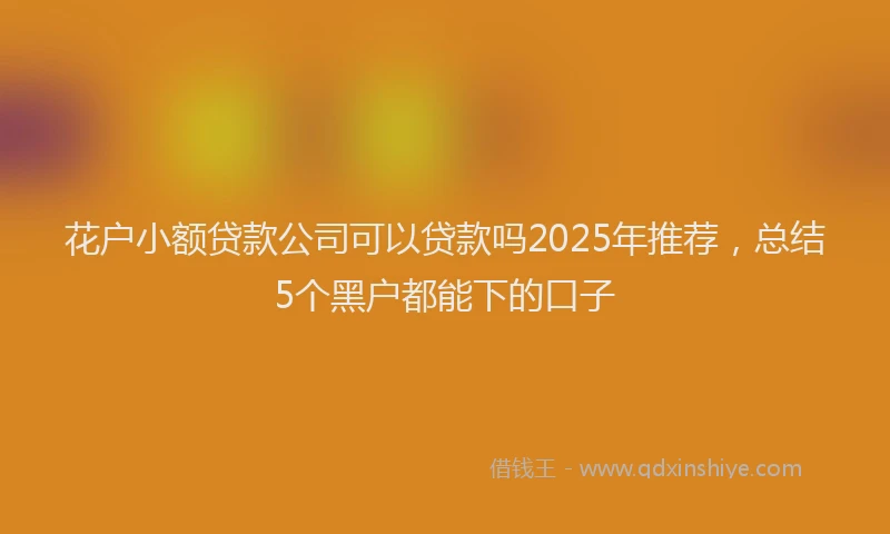 花户小额贷款公司可以贷款吗2025年推荐，总结5个黑户都能下的口子