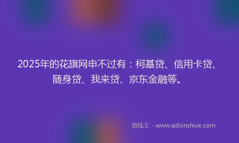 2025年的花旗网申不过有：柯基贷、信用卡贷、随身贷、我来贷、京东金融等。