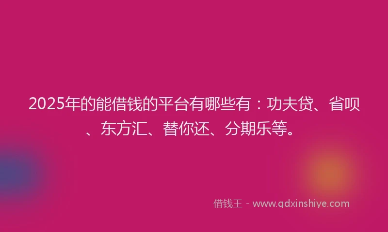 2025年的能借钱的平台有哪些有：功夫贷、省呗、东方汇、替你还、分期乐等。