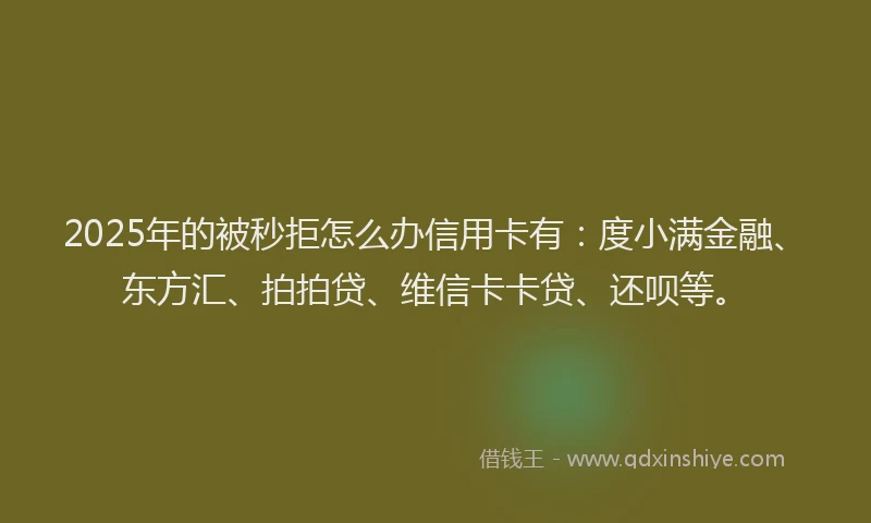2025年的被秒拒怎么办信用卡有：度小满金融、东方汇、拍拍贷、维信卡卡贷、还呗等。