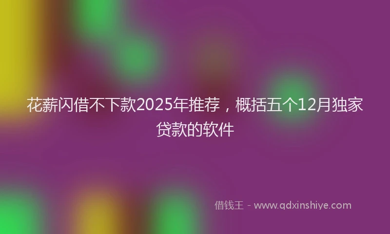花薪闪借不下款2025年推荐，概括五个12月独家贷款的软件