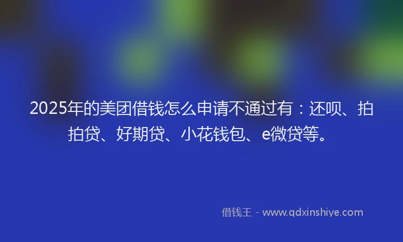 2025年的美团借钱怎么申请不通过有：还呗、拍拍贷、好期贷、小花钱包、e微贷等。