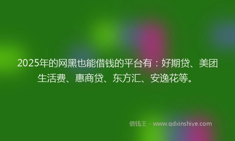 2025年的网黑也能借钱的平台有：好期贷、美团生活费、惠商贷、东方汇、安逸花等。