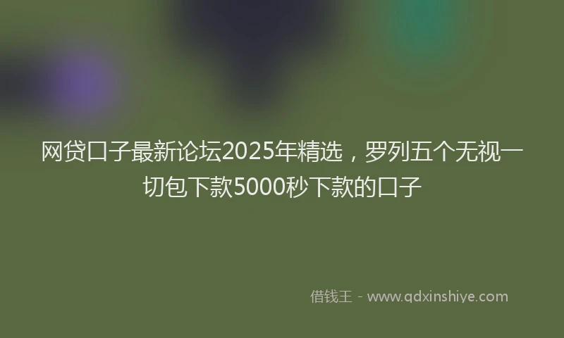 网贷口子最新论坛2025年精选，罗列五个无视一切包下款5000秒下款的口子