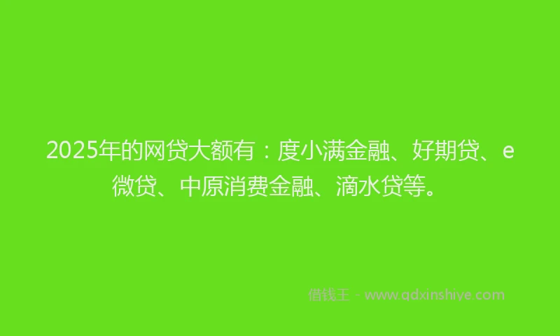 2025年的网贷大额有：度小满金融、好期贷、e微贷、中原消费金融、滴水贷等。