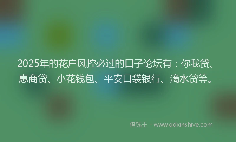 2025年的花户风控必过的口子论坛有：你我贷、惠商贷、小花钱包、平安口袋银行、滴水贷等。