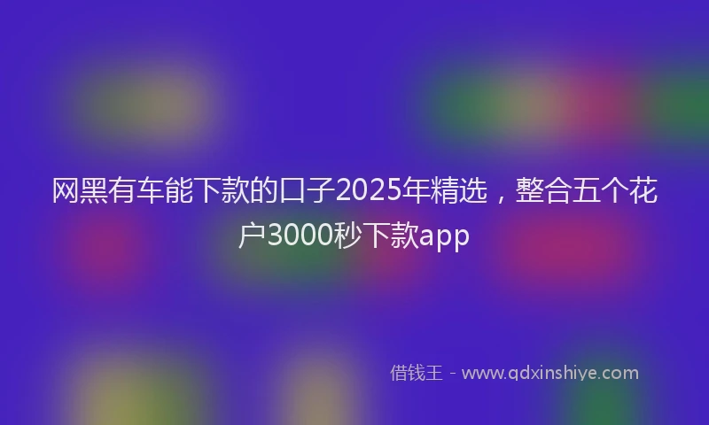 网黑有车能下款的口子2025年精选，整合五个花户3000秒下款app