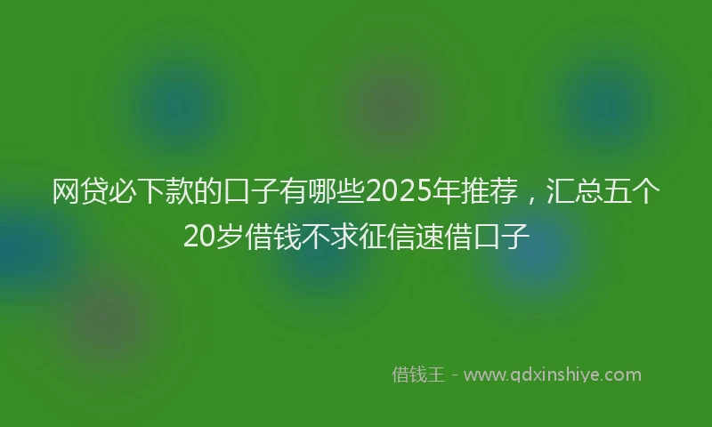网贷必下款的口子有哪些2025年推荐，汇总五个20岁借钱不求征信速借口子