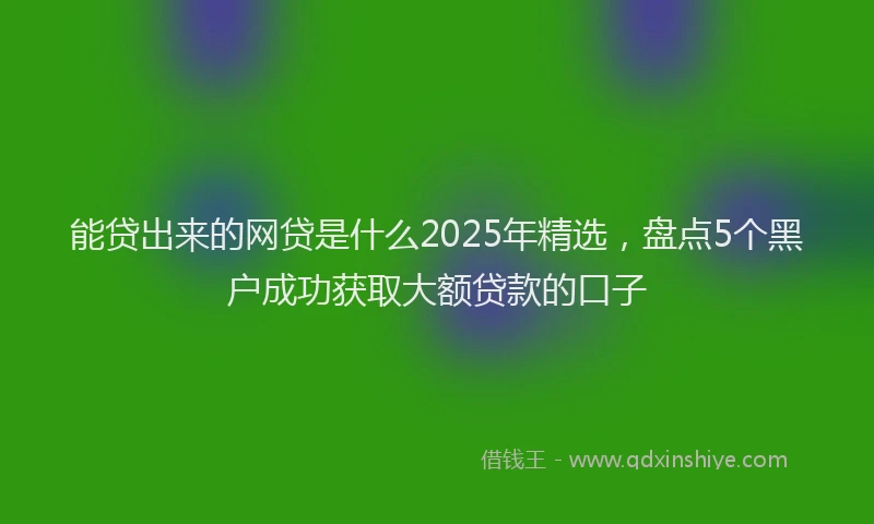 能贷出来的网贷是什么2025年精选，盘点5个黑户成功获取大额贷款的口子
