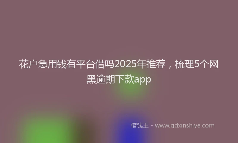 花户急用钱有平台借吗2025年推荐，梳理5个网黑逾期下款app