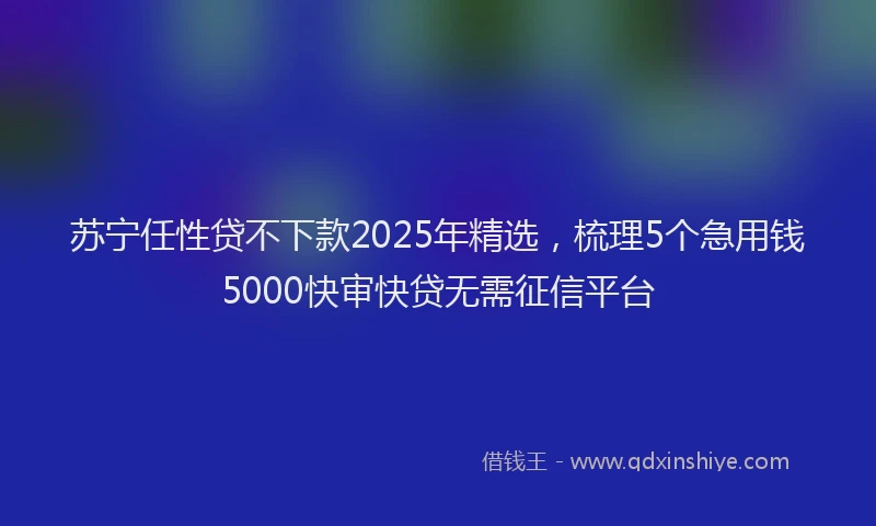 苏宁任性贷不下款2025年精选，梳理5个急用钱5000快审快贷无需征信平台