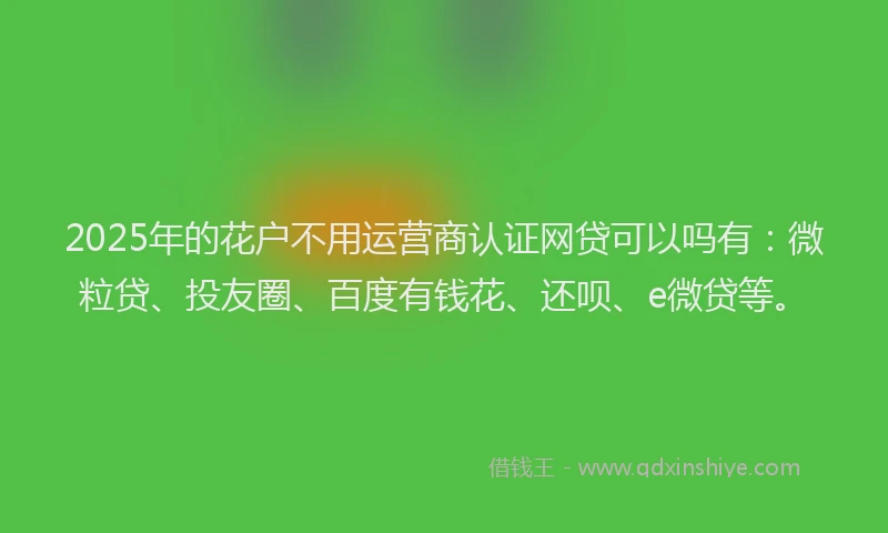 2025年的花户不用运营商认证网贷可以吗有：微粒贷、投友圈、百度有钱花、还呗、e微贷等。