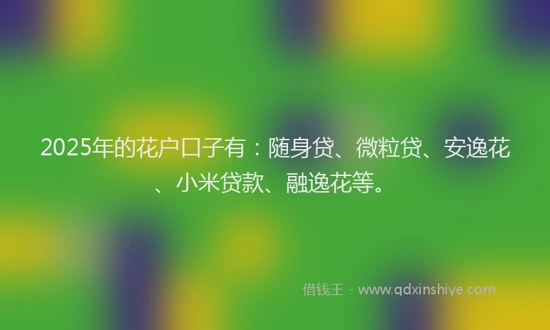 2025年的花户口子有：随身贷、微粒贷、安逸花、小米贷款、融逸花等。
