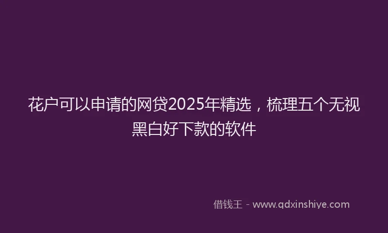 花户可以申请的网贷2025年精选，梳理五个无视黑白好下款的软件