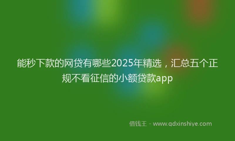 能秒下款的网贷有哪些2025年精选，汇总五个正规不看征信的小额贷款app