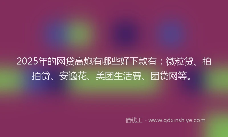 2025年的网贷高炮有哪些好下款有：微粒贷、拍拍贷、安逸花、美团生活费、团贷网等。