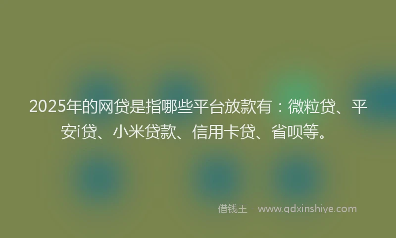 2025年的网贷是指哪些平台放款有：微粒贷、平安i贷、小米贷款、信用卡贷、省呗等。