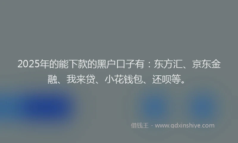 2025年的能下款的黑户口子有：东方汇、京东金融、我来贷、小花钱包、还呗等。
