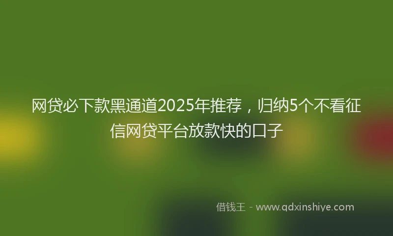网贷必下款黑通道2025年推荐，归纳5个不看征信网贷平台放款快的口子