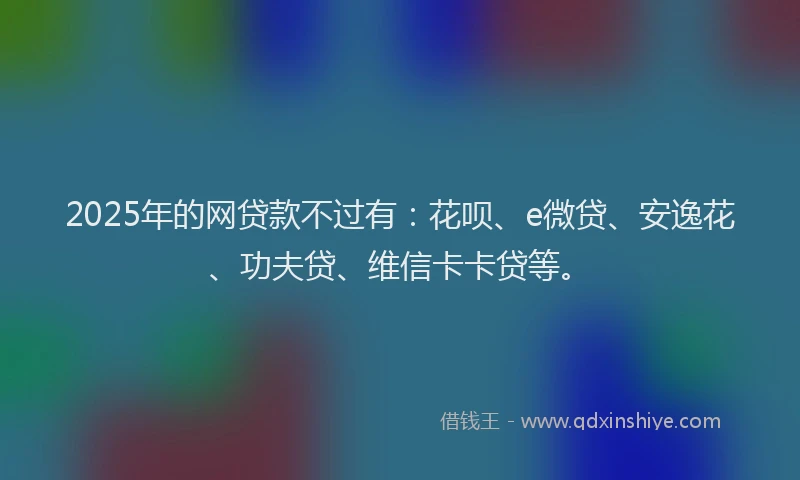 2025年的网贷款不过有：花呗、e微贷、安逸花、功夫贷、维信卡卡贷等。