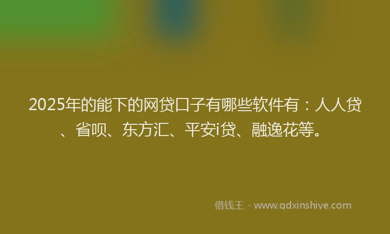 2025年的能下的网贷口子有哪些软件有：人人贷、省呗、东方汇、平安i贷、融逸花等。