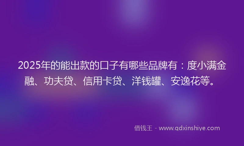 2025年的能出款的口子有哪些品牌有：度小满金融、功夫贷、信用卡贷、洋钱罐、安逸花等。