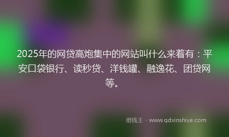 2025年的网贷高炮集中的网站叫什么来着有：平安口袋银行、读秒贷、洋钱罐、融逸花、团贷网等。