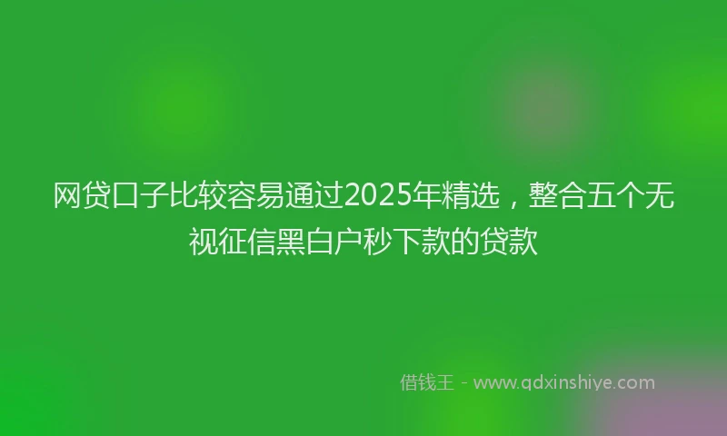 网贷口子比较容易通过2025年精选，整合五个无视征信黑白户秒下款的贷款