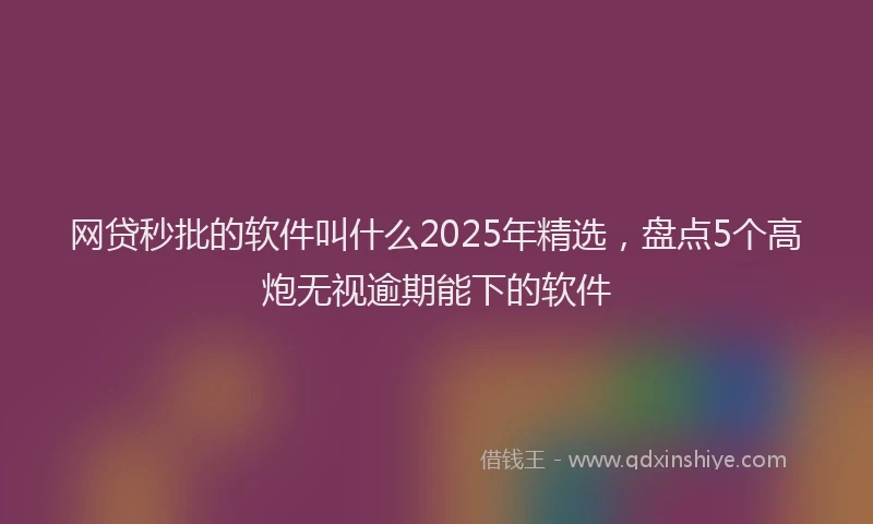 网贷秒批的软件叫什么2025年精选，盘点5个高炮无视逾期能下的软件