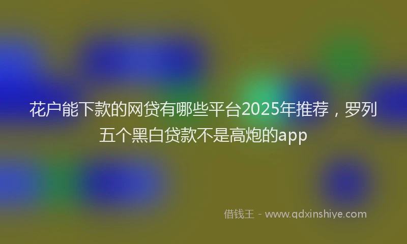 花户能下款的网贷有哪些平台2025年推荐，罗列五个黑白贷款不是高炮的app
