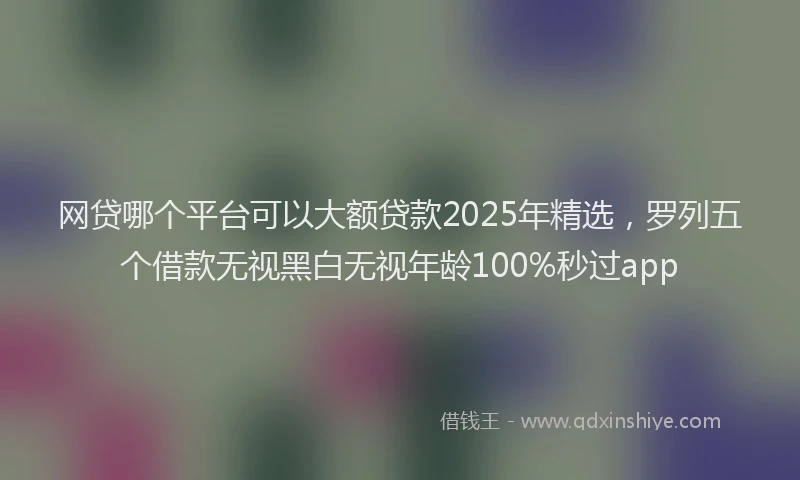 网贷哪个平台可以大额贷款2025年精选，罗列五个借款无视黑白无视年龄100%秒过app