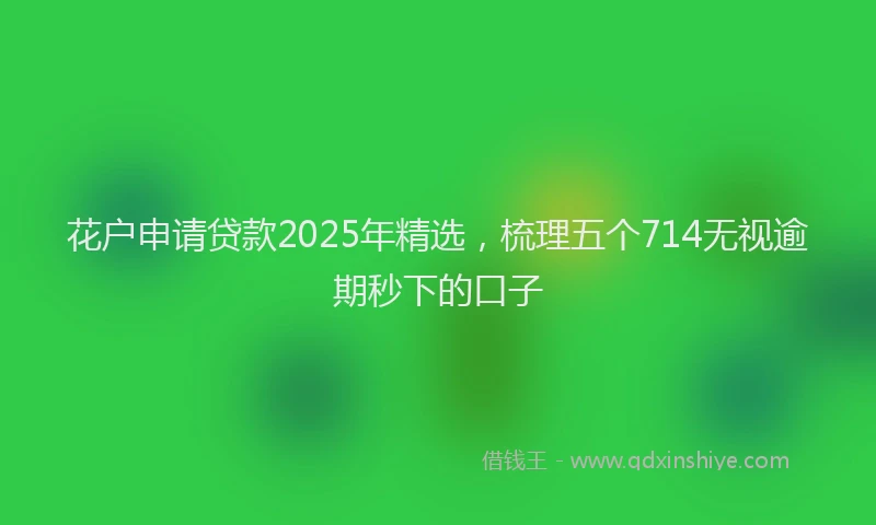 花户申请贷款2025年精选，梳理五个714无视逾期秒下的口子