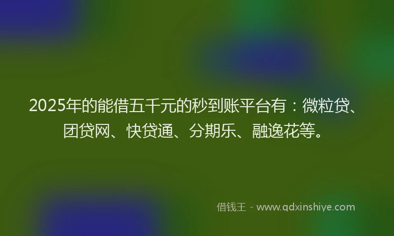 2025年的能借五千元的秒到账平台有：微粒贷、团贷网、快贷通、分期乐、融逸花等。