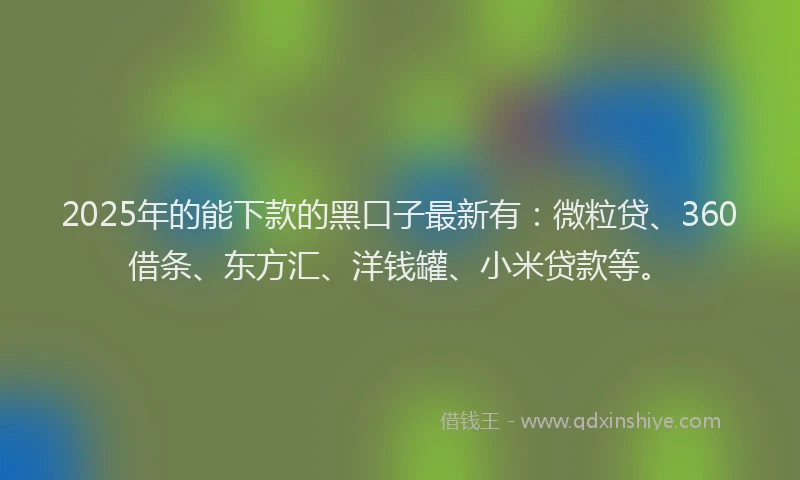 2025年的能下款的黑口子最新有：微粒贷、360借条、东方汇、洋钱罐、小米贷款等。