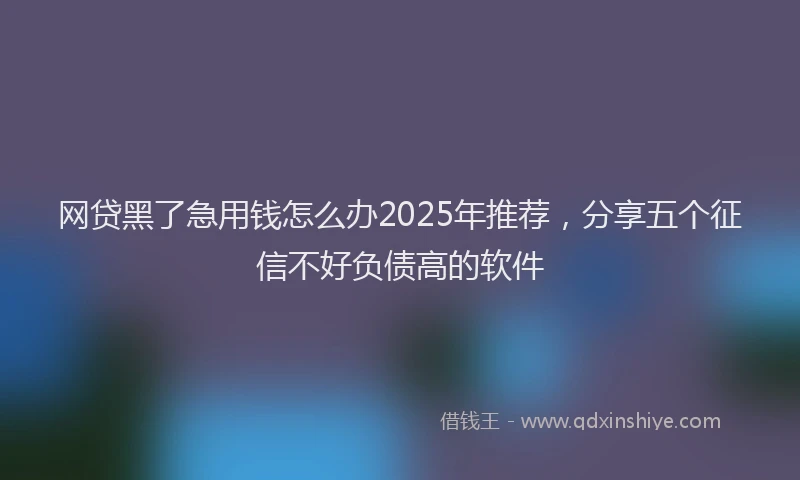 网贷黑了急用钱怎么办2025年推荐，分享五个征信不好负债高的软件