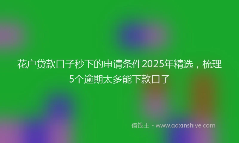 花户贷款口子秒下的申请条件2025年精选，梳理5个逾期太多能下款口子