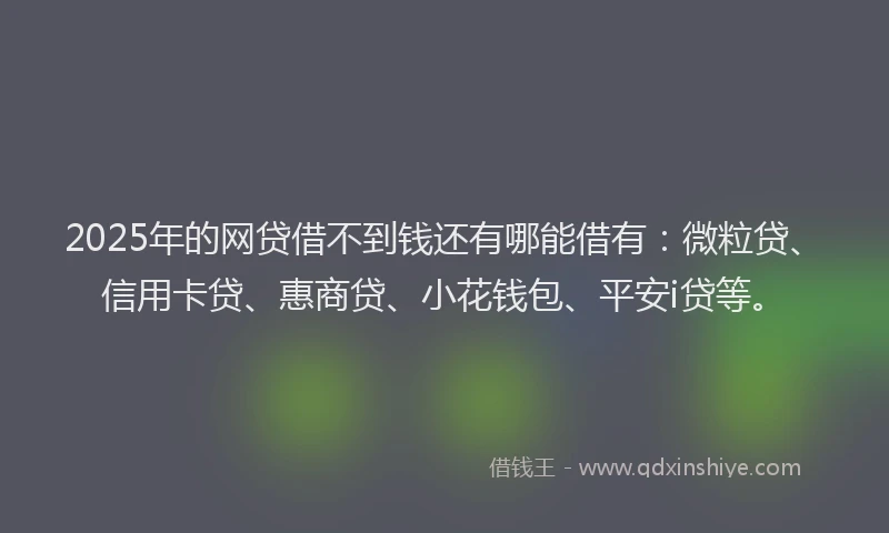 2025年的网贷借不到钱还有哪能借有：微粒贷、信用卡贷、惠商贷、小花钱包、平安i贷等。